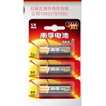 5號電池南孚