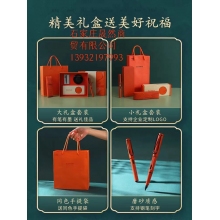 凌美lamy鋼筆新款磨砂綠橙禮盒套裝德國正品狩獵者”，顏色分類（磨砂橙墨水套盒）