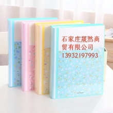 文件夾 得力 40頁(yè)