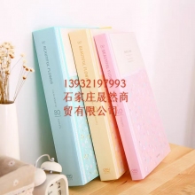 文件夾 得力 40頁(yè)