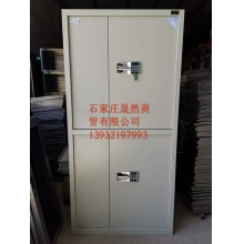 兩節(jié)電子密碼柜