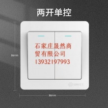 墻壁開(kāi)關(guān) 雙開(kāi) 10個(gè)裝